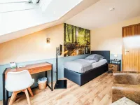 Landhotel Alte Aue Hoteles en Upper Harz