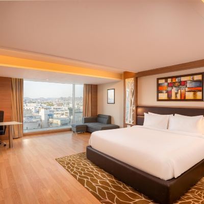 Deluxe Room Radisson Udaipur Promo Code