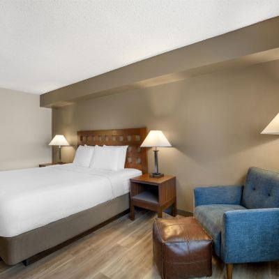 1 King Bed, Non-Smoking, Pet Friendly Room, Microwave And Mini-Refrigerator, Wi-Fi GreenTree Inn Albuquerque Promo Code