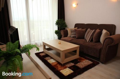 标准一卧室公寓