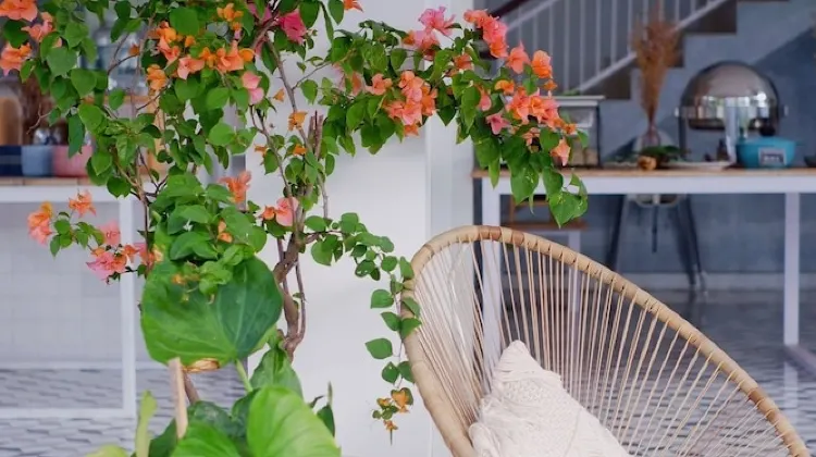 The Sloth Bali 食事・レストラン