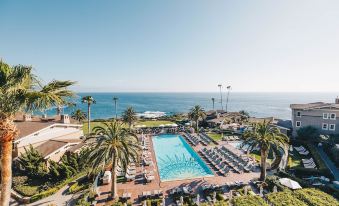 a large outdoor pool surrounded by palm trees and a view of the ocean in the background at Montage Laguna Beach