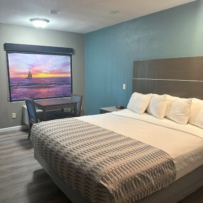 Standard Single Room, 1 King Bed, Non Smoking Hotel Palmeras Chula Vista Promo Code