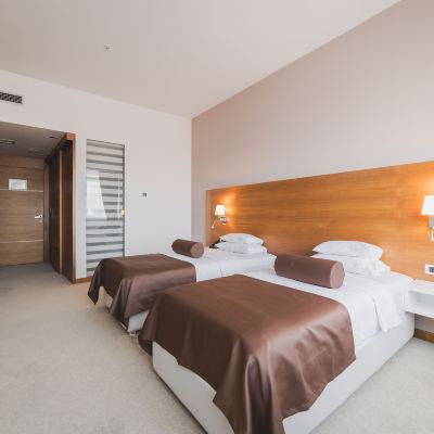 Business Twin Room Hotel Aurel Promo Code