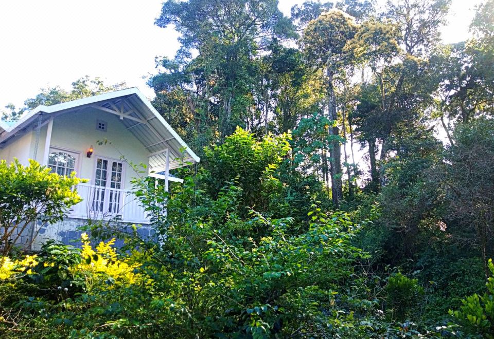 Oriole Homestay - Housity