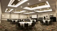 Hilton Darwin