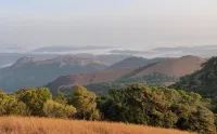 Paradise Wild Hills