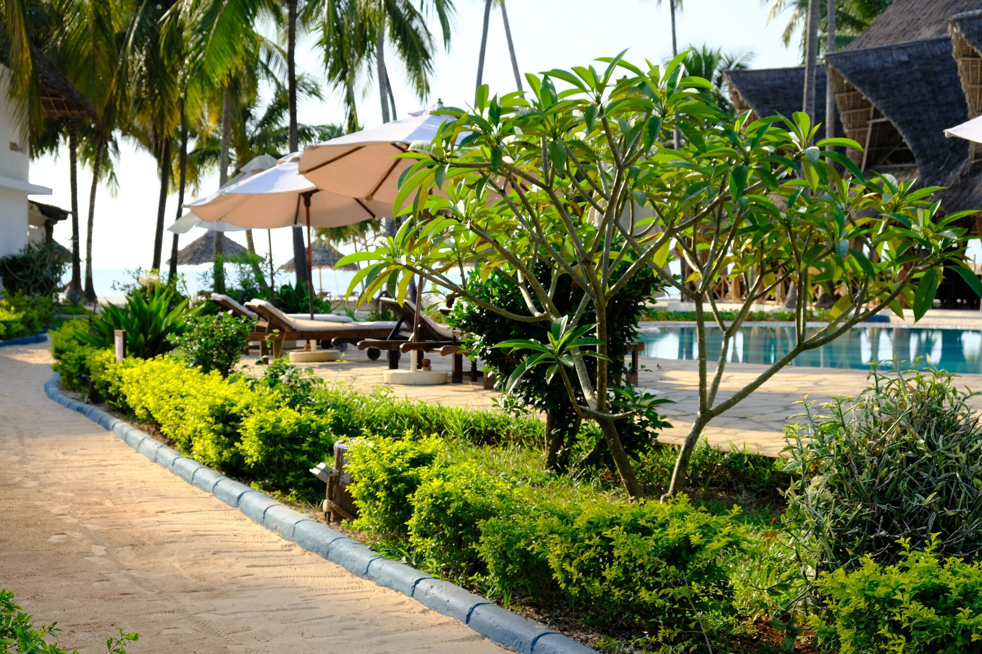 家庭房， 花园景观， 庭院