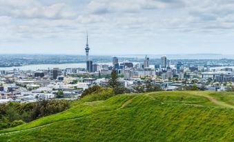 a panoramic view of the city skyline , with a green grassy hillside in the foreground at Fernz Motel & Apartments Birkenhead