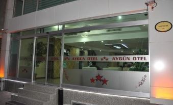 Aygun Hotel - Housity