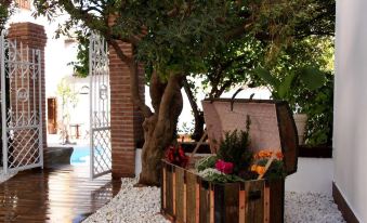 Candil Suite Realejo - Housity