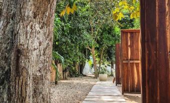 Bosquecito Bacalar - Housity