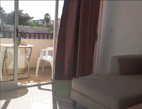 一卧室公寓（带阳台）