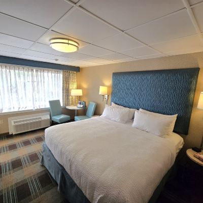 Premium King Room King's Port Inn Promo Code