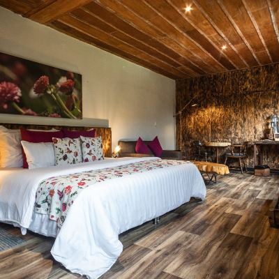 Junior Room Hotel Termales Del Ruiz Promo Code