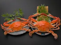 츠루노 오야도 츠루소우