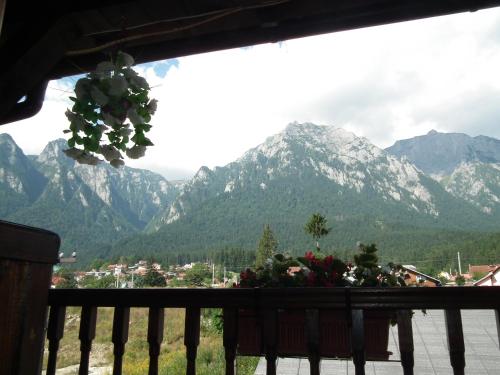 带山景的双人间