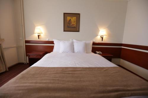 公园景双人或双床间 - 带阳台