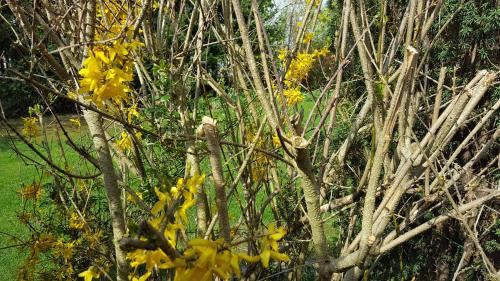 带露台的三卧室公寓