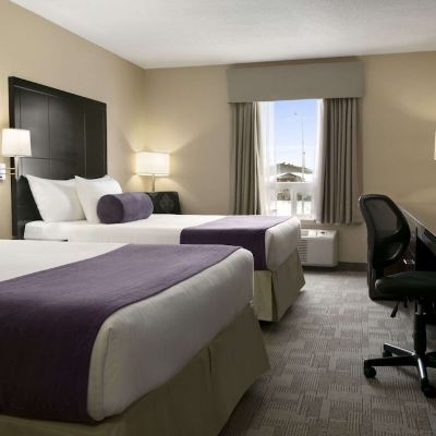 1 King Bed and 2 Queen Beds Suite