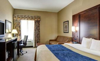 Comfort Inn & Suites Conway