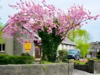 Ach na Sheen Guest House Hoteles en 