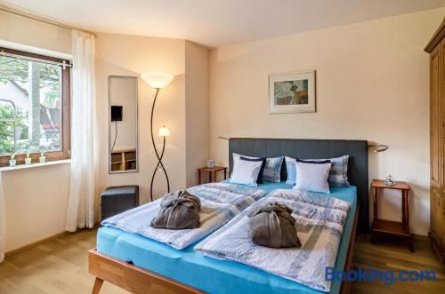 高级一卧室公寓