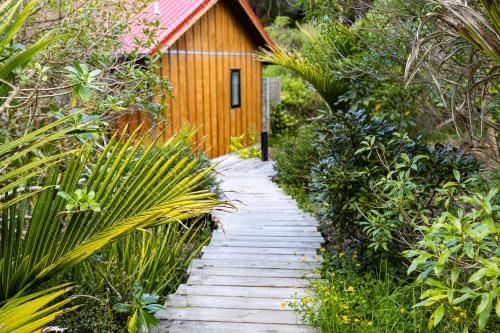 豪华特大床一室房