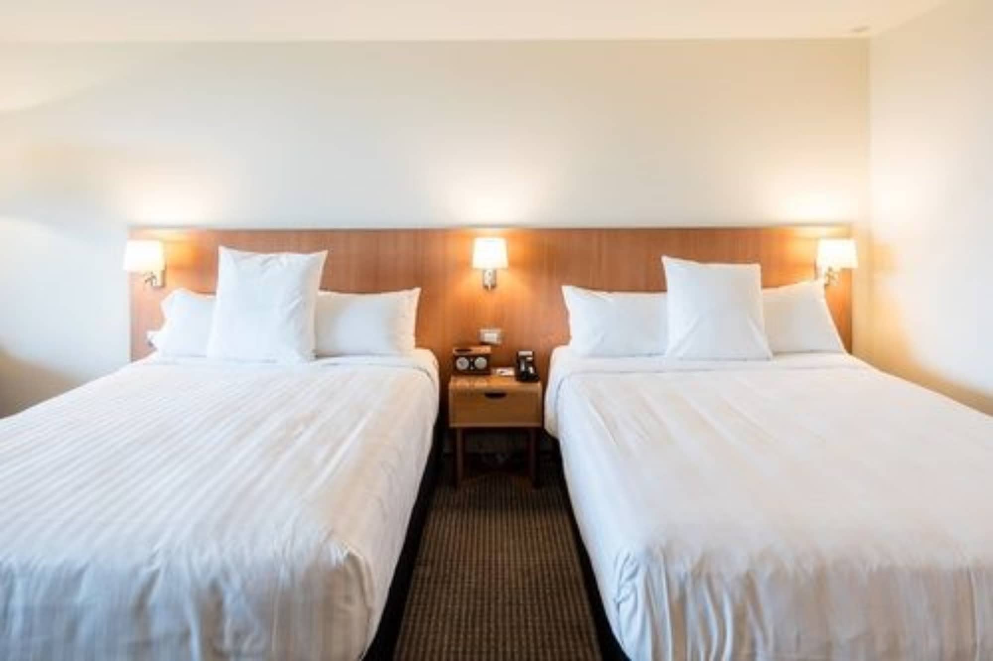 商务间 - 带两张大床