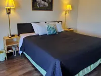 Cactus Inn and Suites Hotels in Wright County