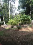 Nice House Natural Ξενοδοχεία στην πόλη 