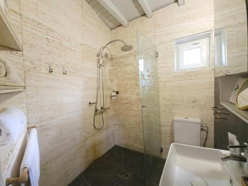 别墅（带独立泳池）