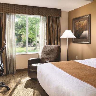 Suite-1 King Bed, Non-Smoking, Larger Room, Sofabed, Microwave and Refrigerator, Wi-Fi