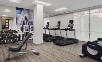 a well - equipped gym with various exercise equipment , including treadmills and weight machines , arranged in an open space at SpringHill Suites Tuckahoe Westchester County