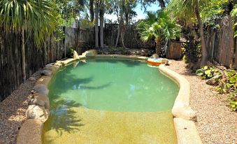 a small backyard with a green pool surrounded by palm trees and a wooden fence at Cooktown Motel