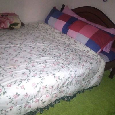 Economy Studio, 1 Queen Bed Viv Haven Promo Code