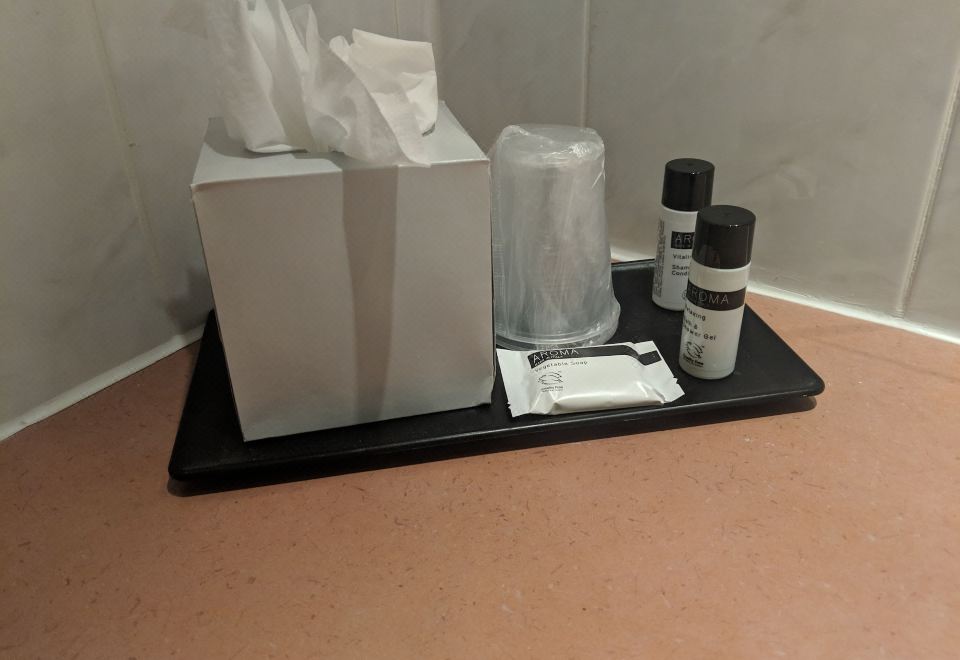 標準客房， 2 張單人床， 無煙房