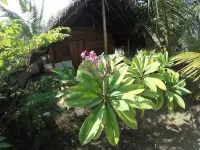 Safasurf Camp - Hostel  호텔