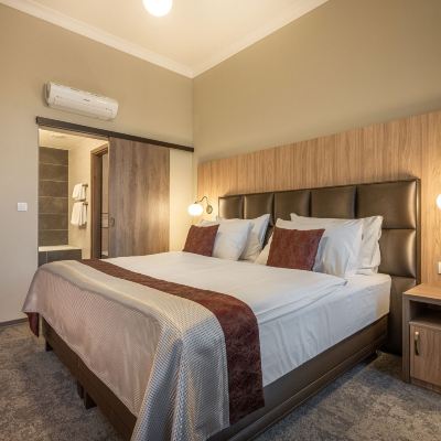 Junior Suite with SPA Access Efi Spa Hotel Promo Code