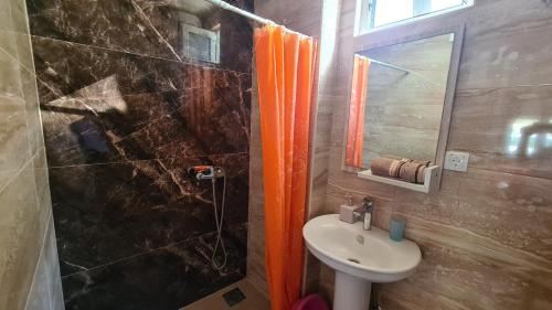 带园景一室公寓