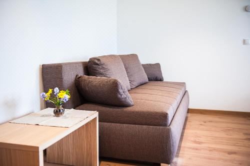 一卧室公寓（带阳台）