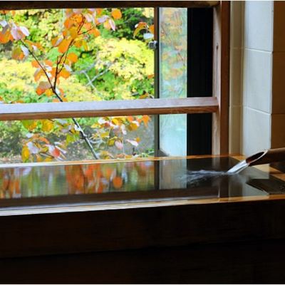 Room With Hot Spring Bath (Anzu Type) 美人の湯　瀬美温泉 クーポン