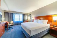 Courtyard Biloxi North/d'Iberville Hotels in 