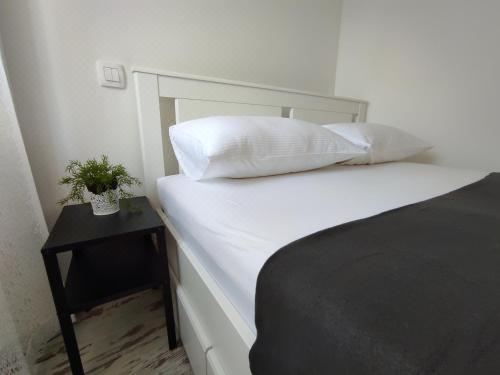 双人房（带独立浴室）