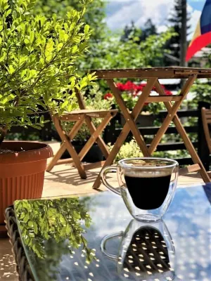 Casa Varful Cu Dor Hotel di 
