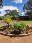 The Yala Home