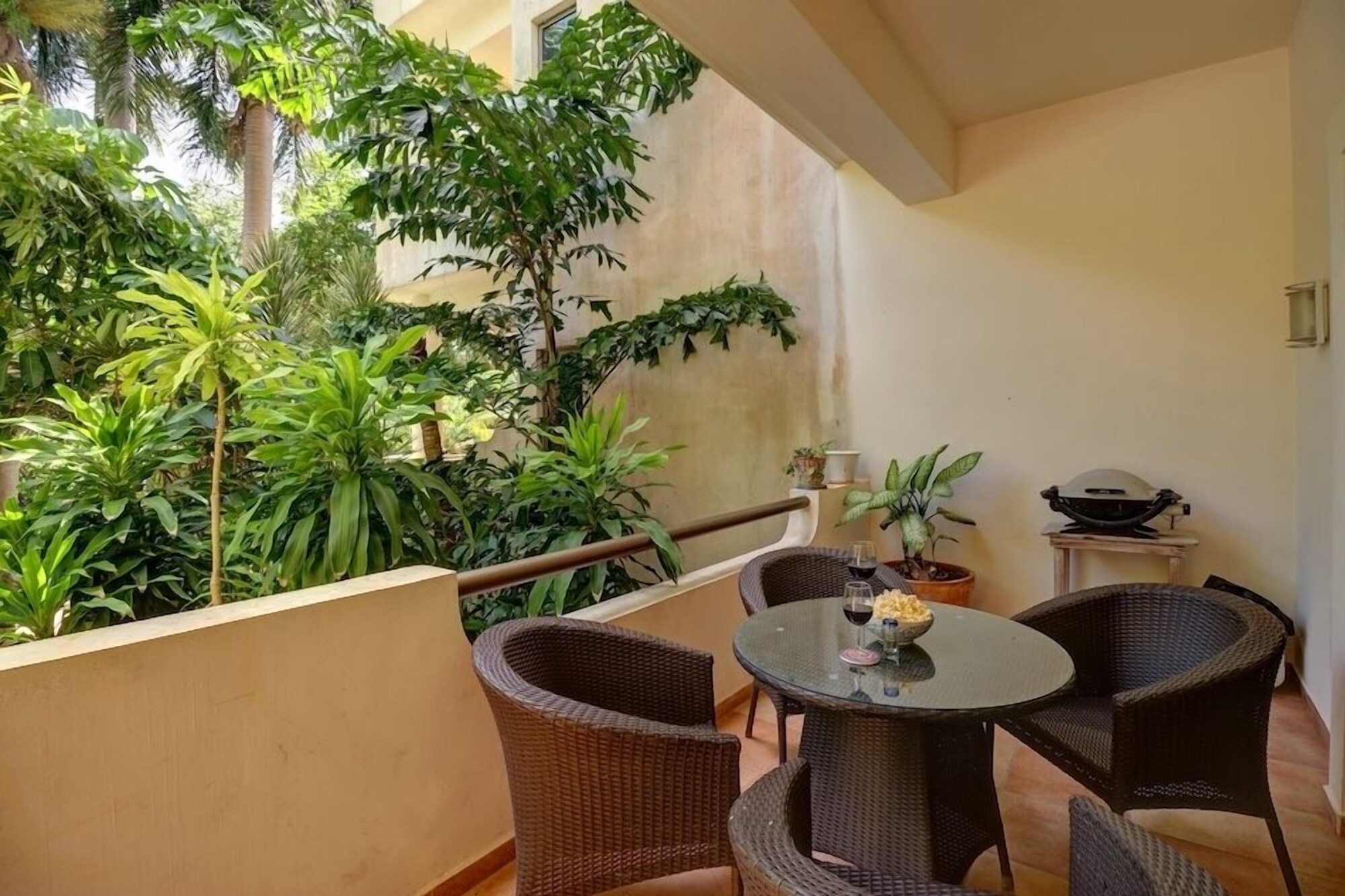 棕榈 两卧室 园景