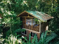 Palmar Beach Lodge Hotels in Bastimento