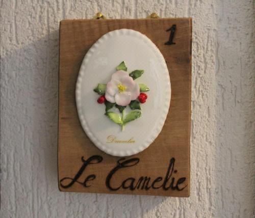 特大床房带无障碍淋浴-无障碍设施