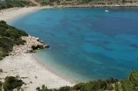 Spitakia
